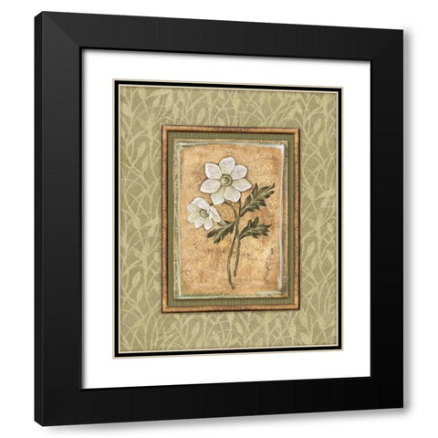 Peaceful Flowers III Black Modern Wood Framed Art Print with Double Matting by Audrey, Charlene