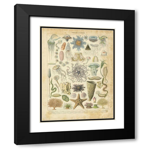 Oceanographie Black Modern Wood Framed Art Print with Double Matting by Babbitt, Gwendolyn