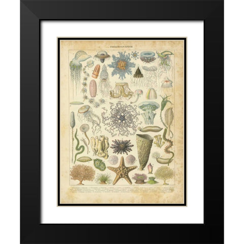 Oceanographie Black Modern Wood Framed Art Print with Double Matting by Babbitt, Gwendolyn