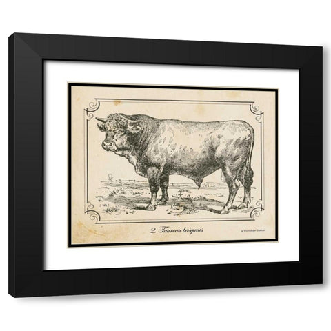 Farm Bull II Black Modern Wood Framed Art Print with Double Matting by Babbitt, Gwendolyn