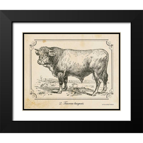 Farm Bull II Black Modern Wood Framed Art Print with Double Matting by Babbitt, Gwendolyn