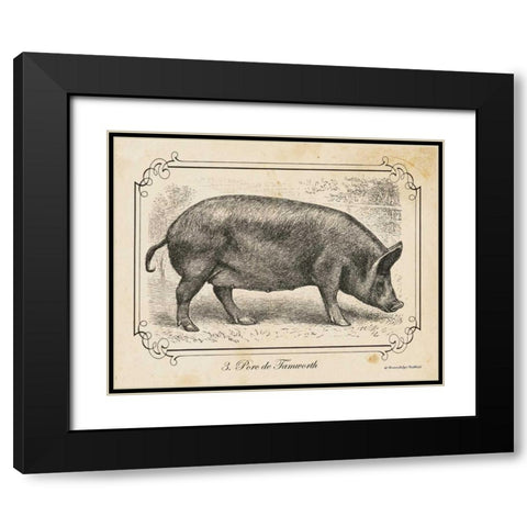 Farm Pig I Black Modern Wood Framed Art Print with Double Matting by Babbitt, Gwendolyn