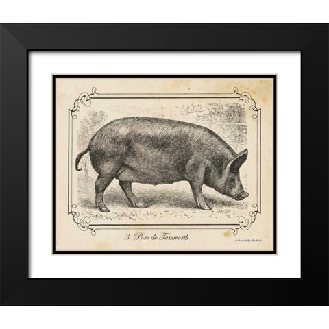 Farm Pig I Black Modern Wood Framed Art Print with Double Matting by Babbitt, Gwendolyn