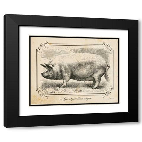 Farm Pig II Black Modern Wood Framed Art Print with Double Matting by Babbitt, Gwendolyn