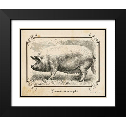 Farm Pig II Black Modern Wood Framed Art Print with Double Matting by Babbitt, Gwendolyn