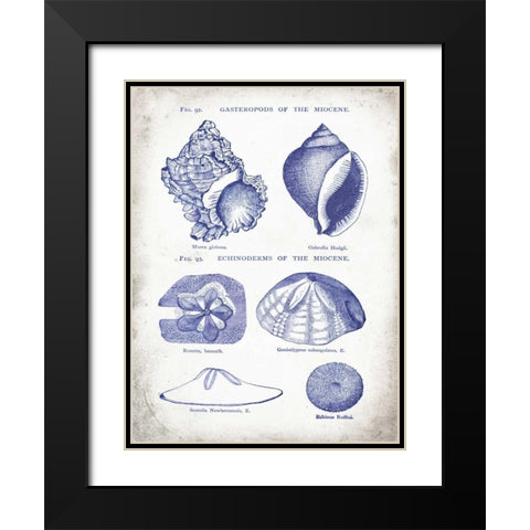 Indigo Shells I Black Modern Wood Framed Art Print with Double Matting by Babbitt, Gwendolyn
