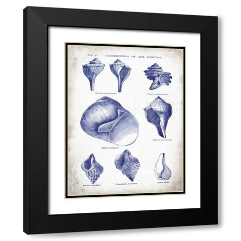 Indigo Shells II Black Modern Wood Framed Art Print with Double Matting by Babbitt, Gwendolyn