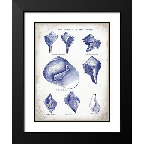 Indigo Shells II Black Modern Wood Framed Art Print with Double Matting by Babbitt, Gwendolyn