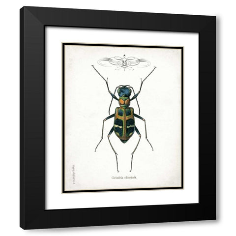 Beetle I Black Modern Wood Framed Art Print with Double Matting by Babbitt, Gwendolyn