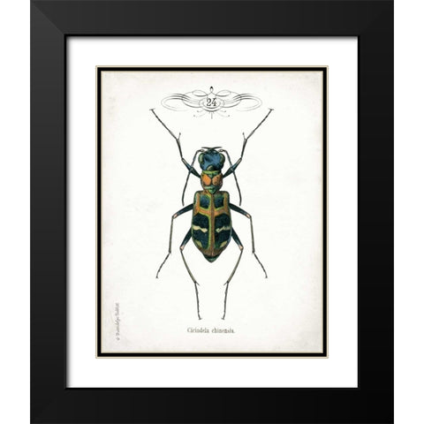 Beetle I Black Modern Wood Framed Art Print with Double Matting by Babbitt, Gwendolyn
