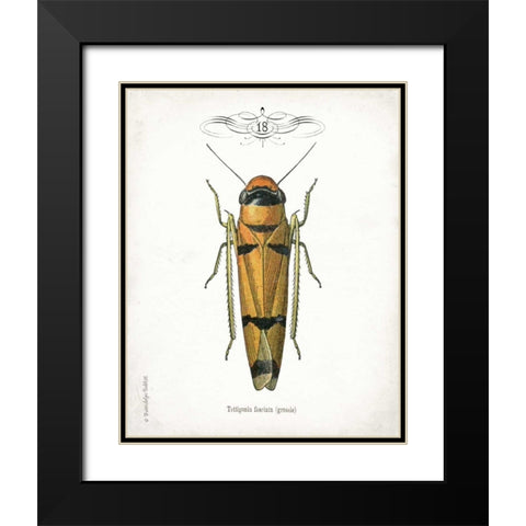 Beetle II Black Modern Wood Framed Art Print with Double Matting by Babbitt, Gwendolyn