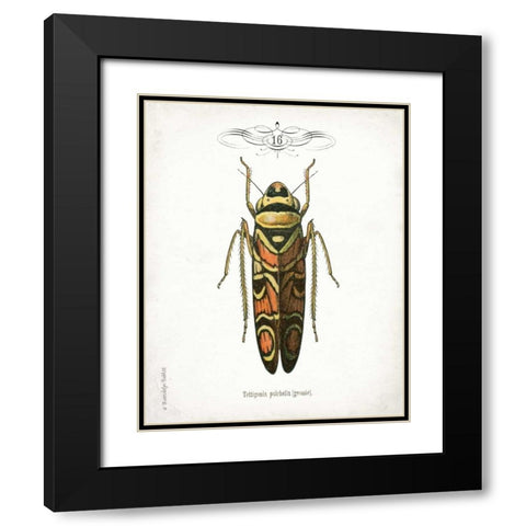 Beetle III Black Modern Wood Framed Art Print with Double Matting by Babbitt, Gwendolyn