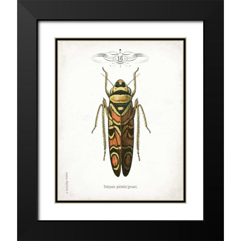 Beetle III Black Modern Wood Framed Art Print with Double Matting by Babbitt, Gwendolyn