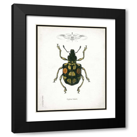 Beetle IV Black Modern Wood Framed Art Print with Double Matting by Babbitt, Gwendolyn