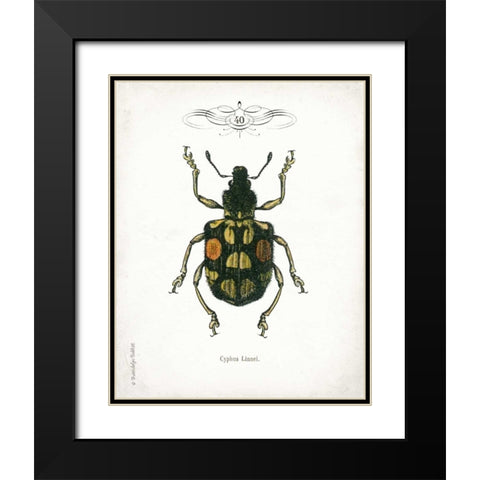 Beetle IV Black Modern Wood Framed Art Print with Double Matting by Babbitt, Gwendolyn