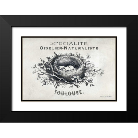 French Bird Nest II Black Modern Wood Framed Art Print with Double Matting by Babbitt, Gwendolyn
