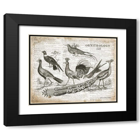 Birds II Black Modern Wood Framed Art Print with Double Matting by Babbitt, Gwendolyn