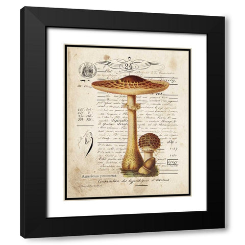 Mushroom I Black Modern Wood Framed Art Print with Double Matting by Babbitt, Gwendolyn