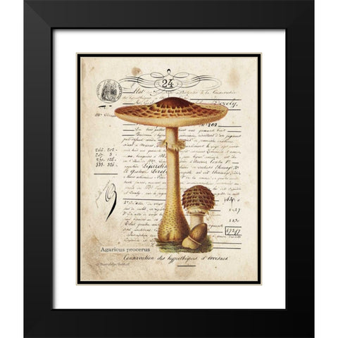 Mushroom I Black Modern Wood Framed Art Print with Double Matting by Babbitt, Gwendolyn