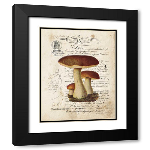 Mushroom II Black Modern Wood Framed Art Print with Double Matting by Babbitt, Gwendolyn