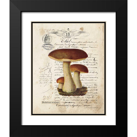 Mushroom II Black Modern Wood Framed Art Print with Double Matting by Babbitt, Gwendolyn