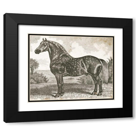 Horse Etching II Black Modern Wood Framed Art Print with Double Matting by Babbitt, Gwendolyn