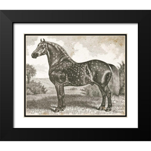 Horse Etching II Black Modern Wood Framed Art Print with Double Matting by Babbitt, Gwendolyn