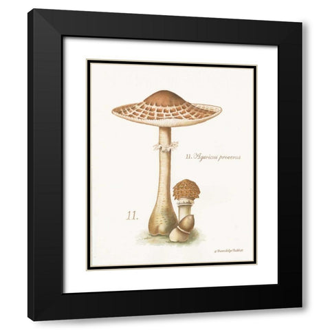 Mushroom I Black Modern Wood Framed Art Print with Double Matting by Babbitt, Gwendolyn