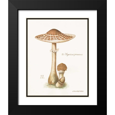 Mushroom I Black Modern Wood Framed Art Print with Double Matting by Babbitt, Gwendolyn