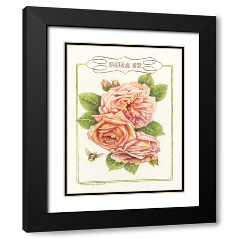 Rose Species Black Modern Wood Framed Art Print with Double Matting by Babbitt, Gwendolyn