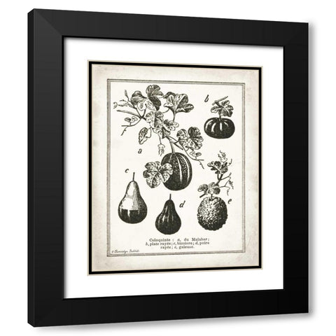 French Gourds Black Modern Wood Framed Art Print with Double Matting by Babbitt, Gwendolyn