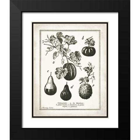 French Gourds Black Modern Wood Framed Art Print with Double Matting by Babbitt, Gwendolyn