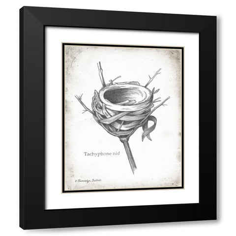 French Bird Nest I Black Modern Wood Framed Art Print with Double Matting by Babbitt, Gwendolyn