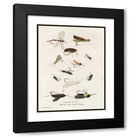 Fishing Flies I Black Modern Wood Framed Art Print with Double Matting by Babbitt, Gwendolyn
