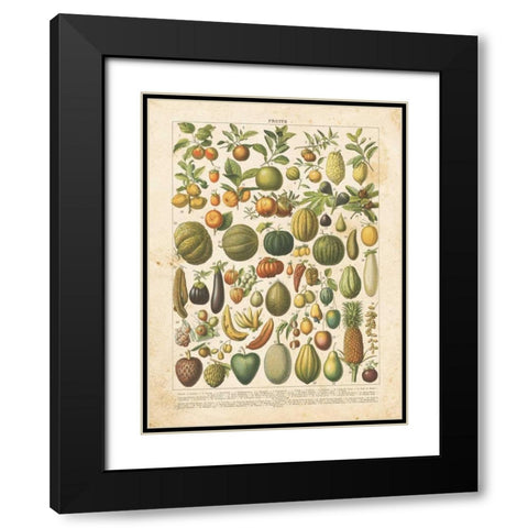 French Fruit Chart Black Modern Wood Framed Art Print with Double Matting by Babbitt, Gwendolyn