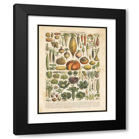 French Vegetable Chart Black Modern Wood Framed Art Print with Double Matting by Babbitt, Gwendolyn