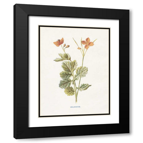 Celandine Black Modern Wood Framed Art Print with Double Matting by Babbitt, Gwendolyn