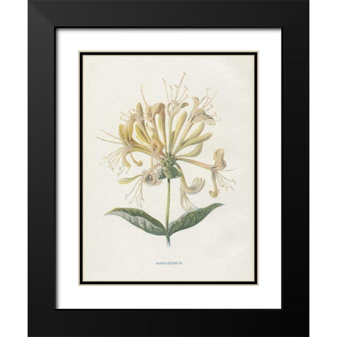 Honeysuckle Black Modern Wood Framed Art Print with Double Matting by Babbitt, Gwendolyn