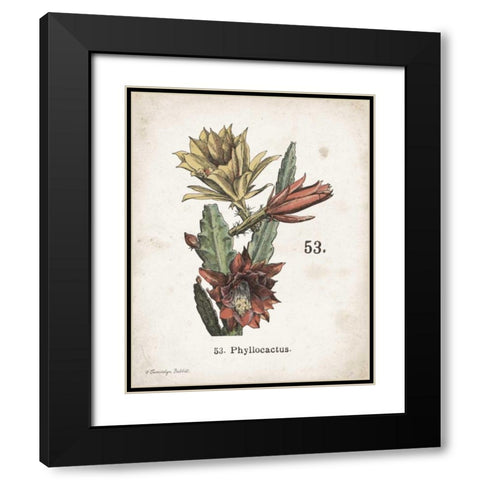 Cacti I Black Modern Wood Framed Art Print with Double Matting by Babbitt, Gwendolyn