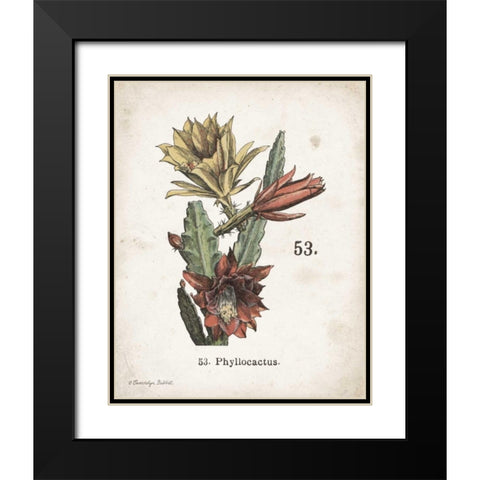 Cacti I Black Modern Wood Framed Art Print with Double Matting by Babbitt, Gwendolyn