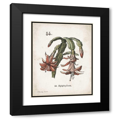 Cacti II Black Modern Wood Framed Art Print with Double Matting by Babbitt, Gwendolyn