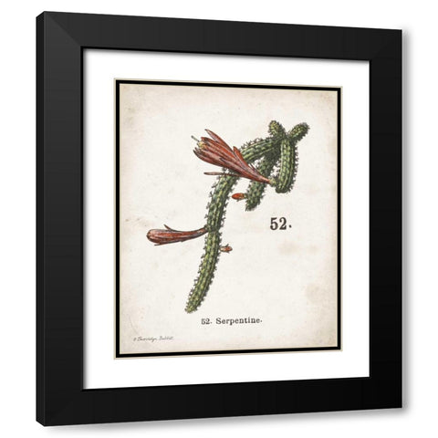 Cacti III Black Modern Wood Framed Art Print with Double Matting by Babbitt, Gwendolyn