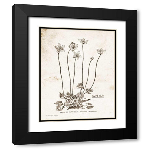 Flower Plate I Black Modern Wood Framed Art Print with Double Matting by Babbitt, Gwendolyn