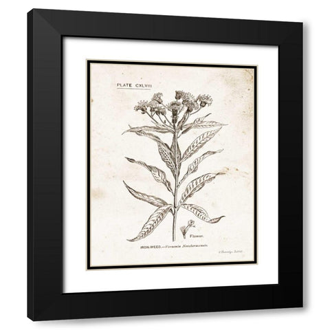 Flower Plate III Black Modern Wood Framed Art Print with Double Matting by Babbitt, Gwendolyn