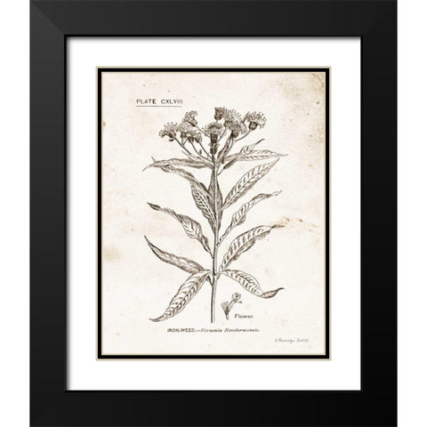 Flower Plate III Black Modern Wood Framed Art Print with Double Matting by Babbitt, Gwendolyn