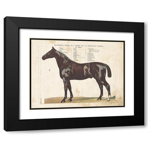 Anatomical Model Horse Black Modern Wood Framed Art Print with Double Matting by Babbitt, Gwendolyn