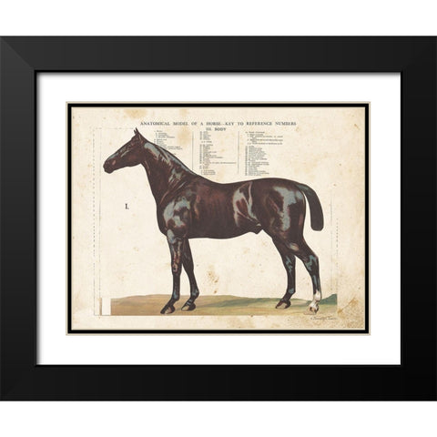 Anatomical Model Horse Black Modern Wood Framed Art Print with Double Matting by Babbitt, Gwendolyn
