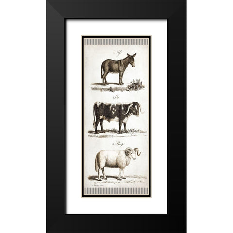 Burro, Cow, Sheep Black Modern Wood Framed Art Print with Double Matting by Babbitt, Gwendolyn