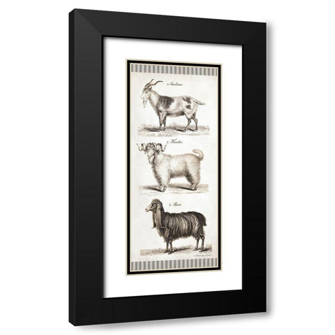 Goats Black Modern Wood Framed Art Print with Double Matting by Babbitt, Gwendolyn