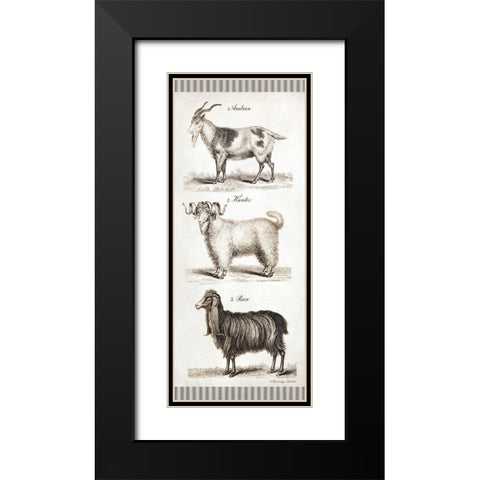 Goats Black Modern Wood Framed Art Print with Double Matting by Babbitt, Gwendolyn